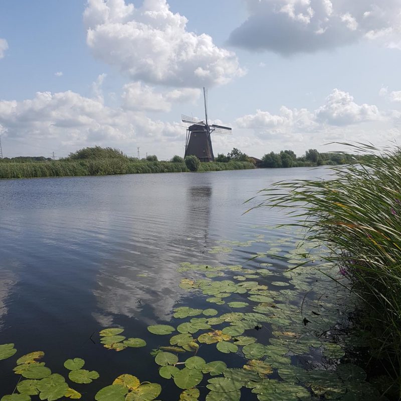 275236932_1153622795397720_757432292573819808_n