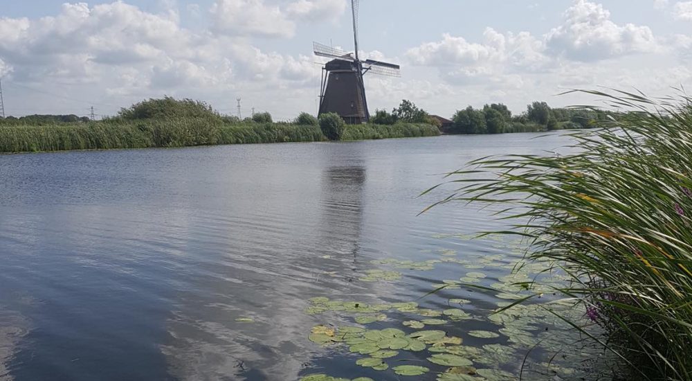 275236932_1153622795397720_757432292573819808_n