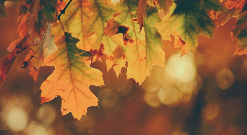 timothy-eberly-yuiJO6bvHi4-unsplash